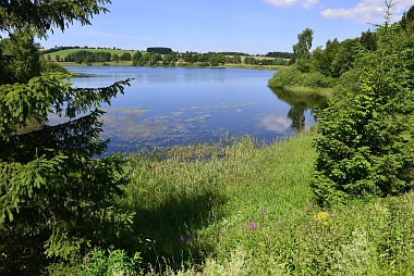 Stadtweger Teich Oberharzer Wasserwirtschaft Bilder